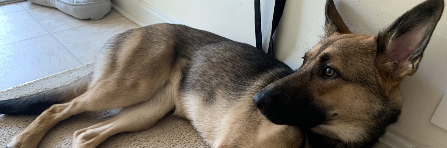 MelyyMells's profile banner image