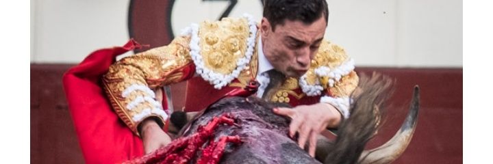 pahuse13's profile banner image