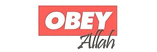 sullysharks's profile banner image