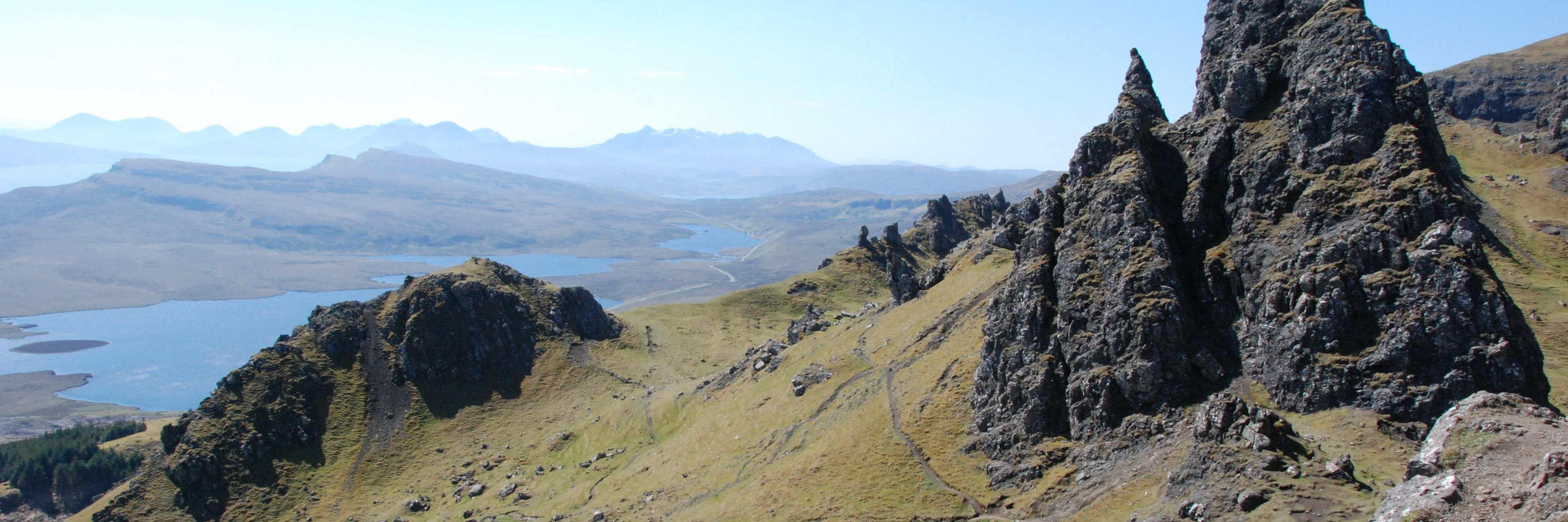 Siobhan Fitzpatrick banner