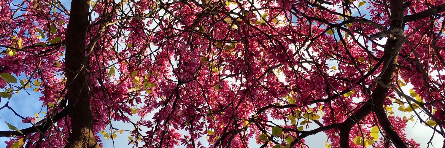 MartenRobert's profile banner image