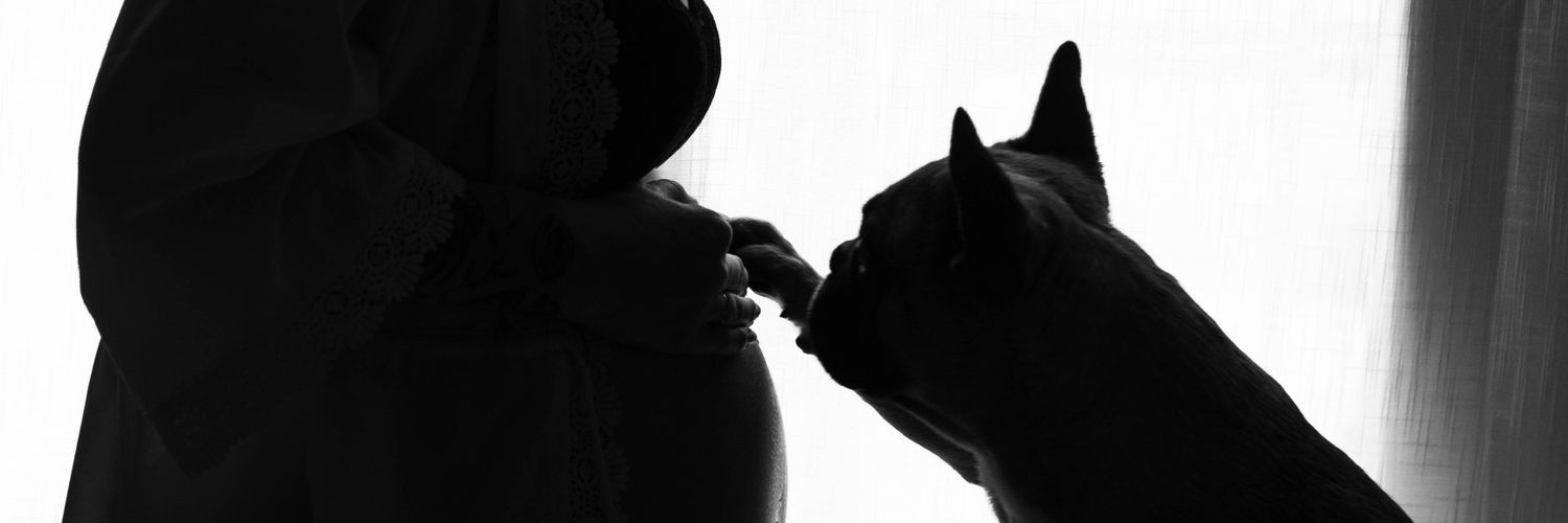 celiniam's profile banner image