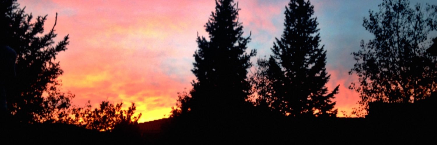 kyra_darr's profile banner image