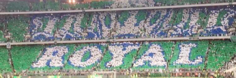 الزعيم الملكي النخبوي banner