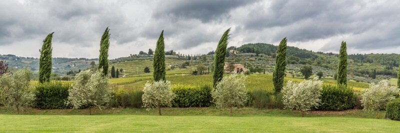 Monechianti's profile banner image