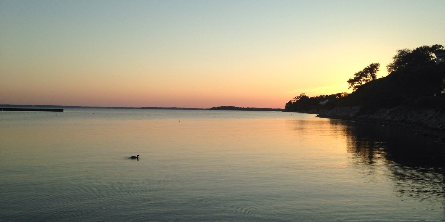 choowebb's profile banner image