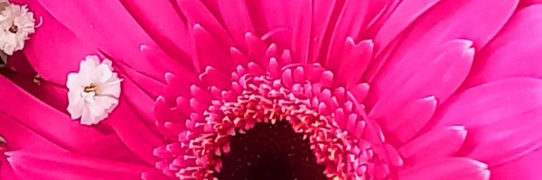 Eli_Osli Profile Banner