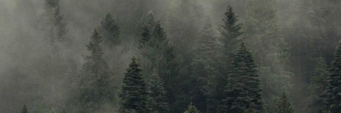 mingusvs's profile banner image