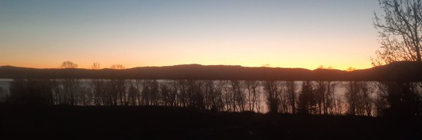 Grungedal Profile Banner