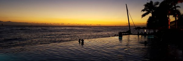 traderstewie Profile Banner