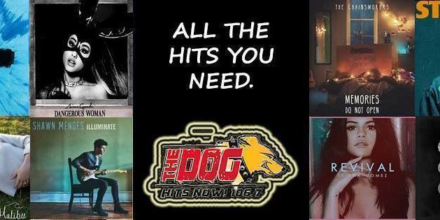 1067TheDog's profile banner image