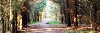 Eimear_Dohertyx's profile banner image