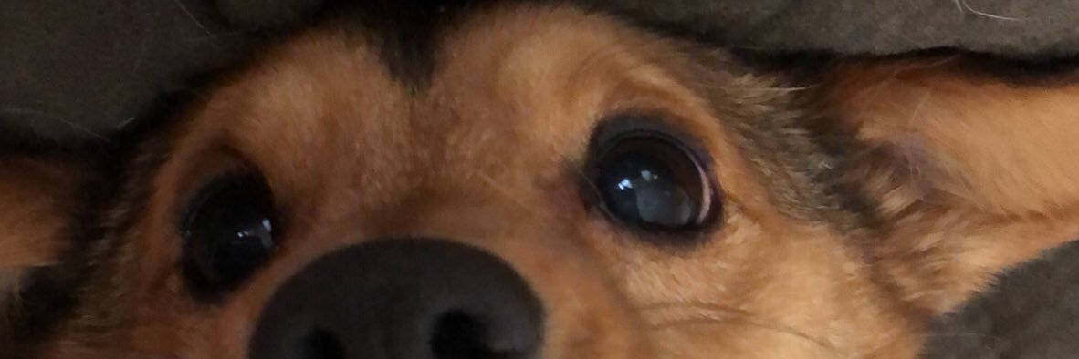 kayleeamanda_'s profile banner image