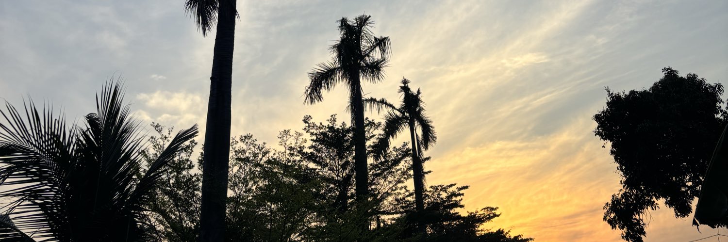 nndmsyt's profile banner image