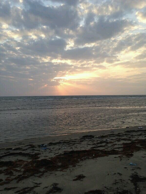 alisha1hrani's profile banner image