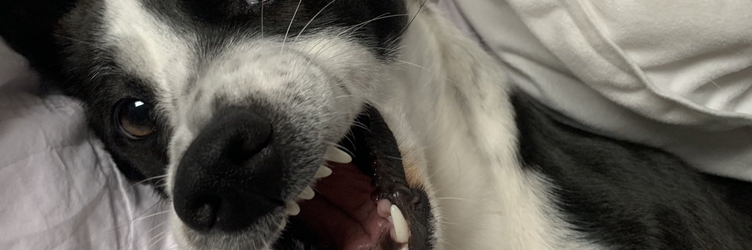 dudamazon's profile banner image