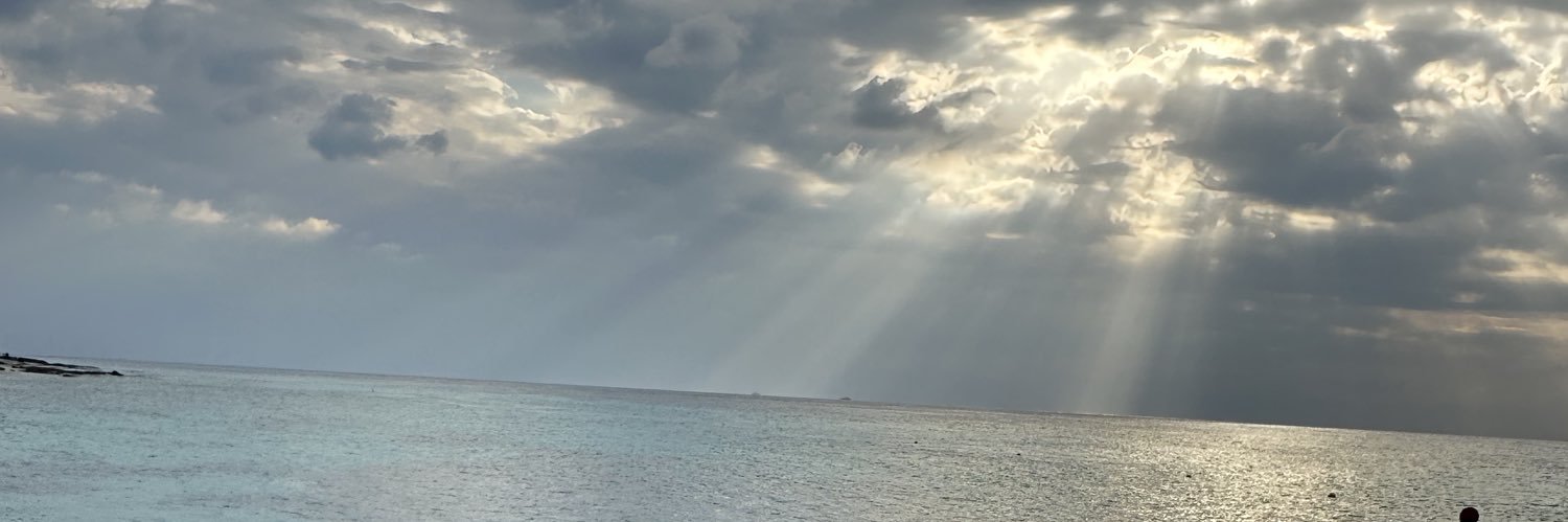Adnues's profile banner image