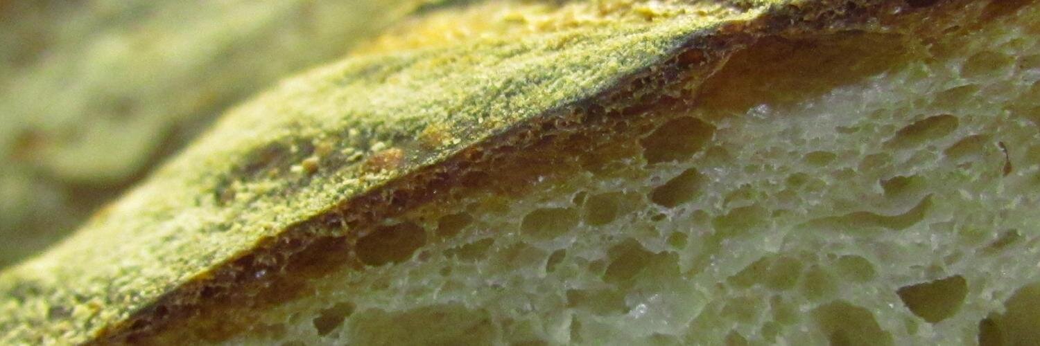 breadandloaf's profile banner image