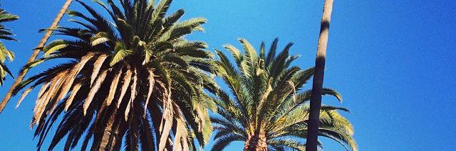 TinaThomsonCom's profile banner image