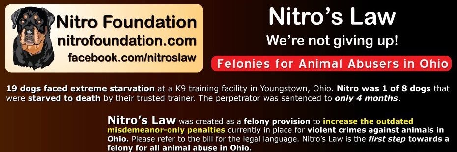 Nitroslaw's profile banner image