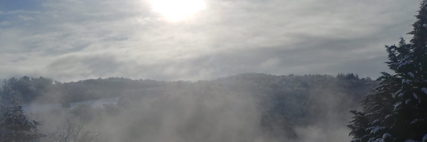 Ruud van Lierop banner