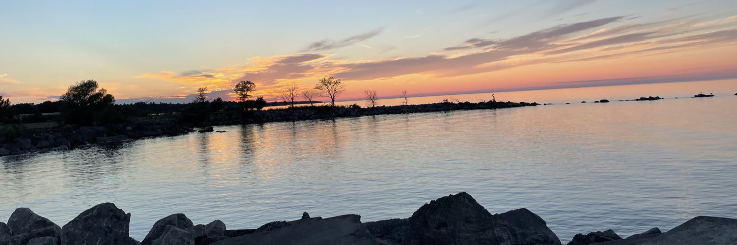 lauren_desantis's profile banner image