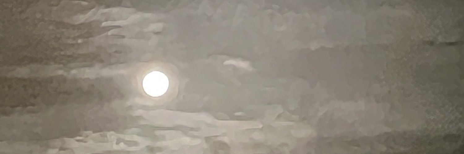 isabel banner