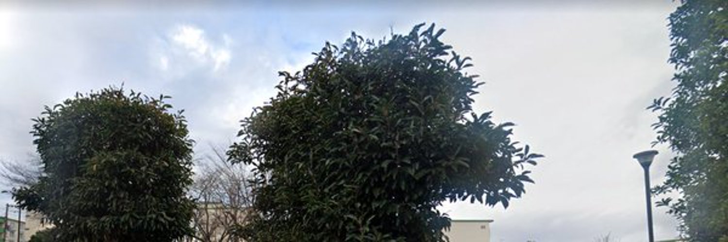 Simplen_eth's profile banner image