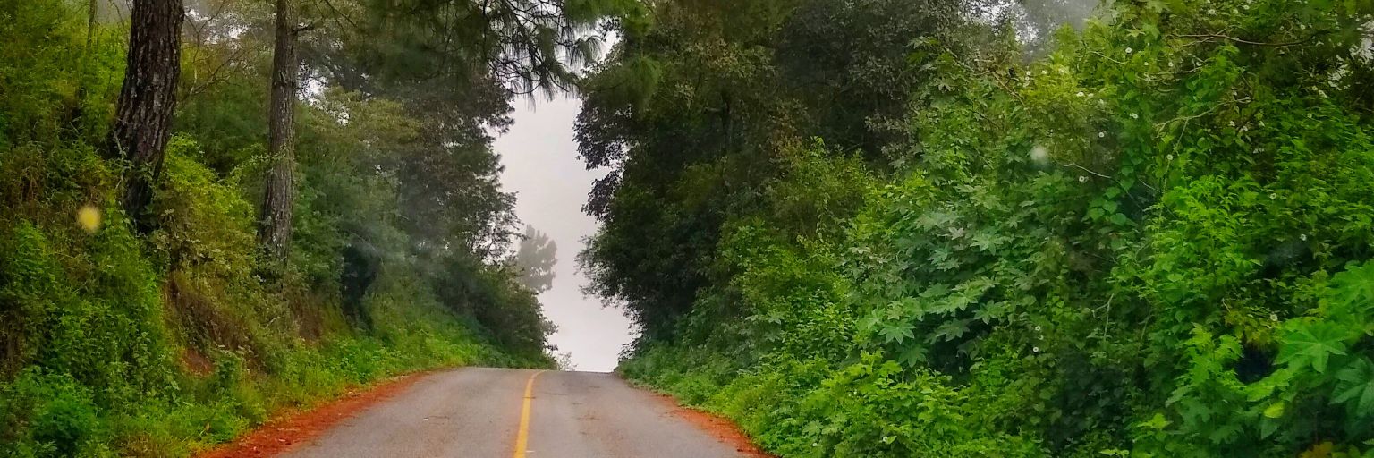 zepedalec's profile banner image