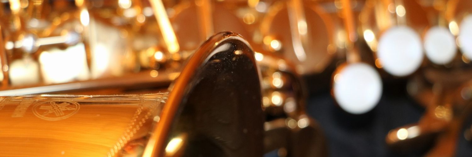 roberts_martini's profile banner image