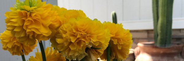 Hei_Maritza Profile Banner