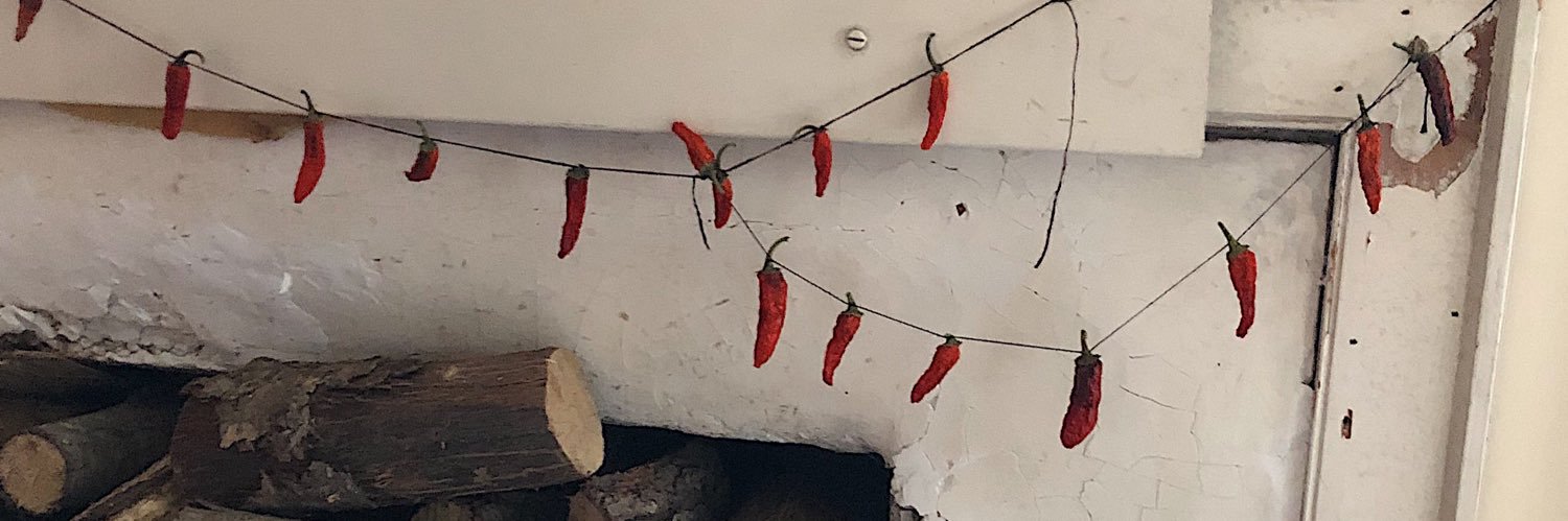 sprouty banner