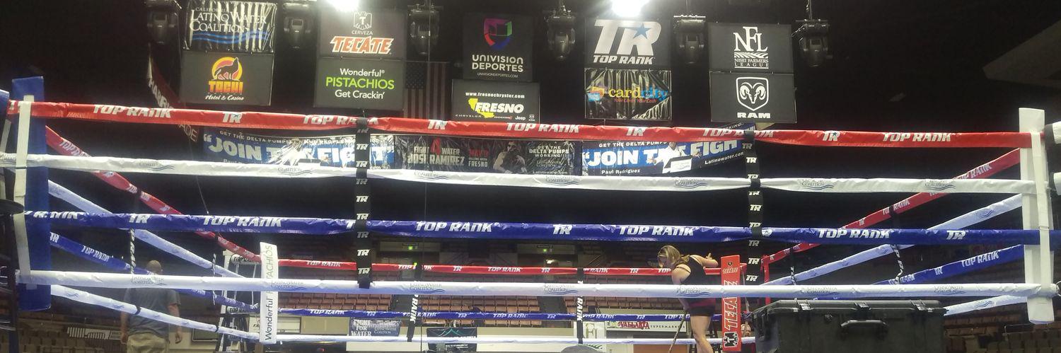 Bobby Sanchez (Boxing_Ring_Tech) banner