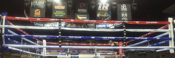 BoxingRingTech Profile Banner