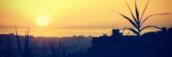 Gemma Safont-Tria banner