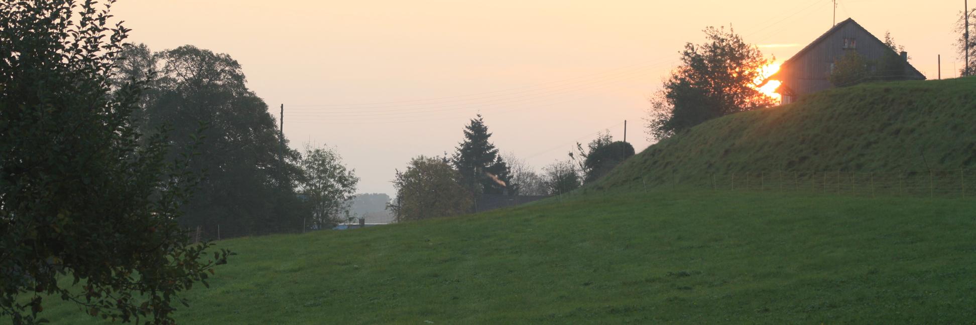 stoonich's profile banner image