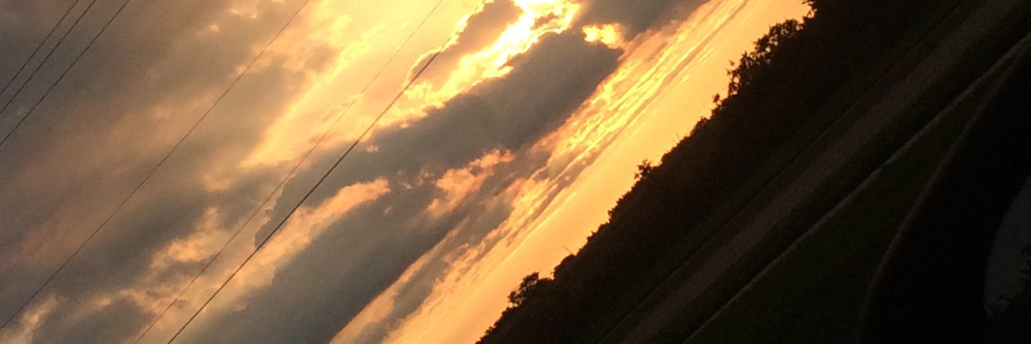 Michaelaa_5's profile banner image