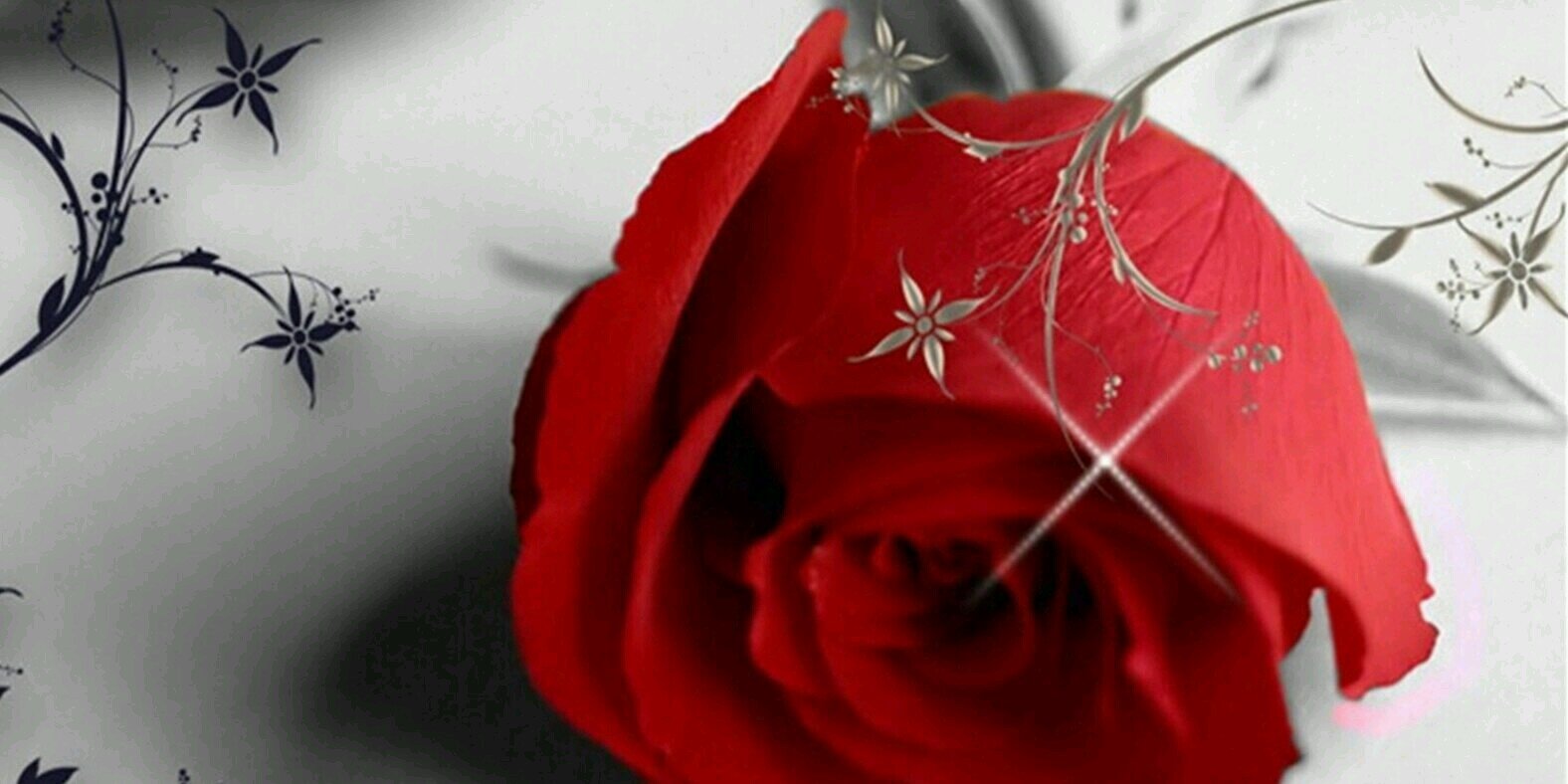 Beesoo2020's profile banner image