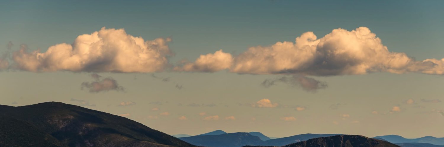 DaftBrian banner