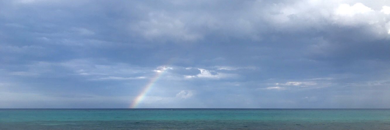 melisscaeners's profile banner image