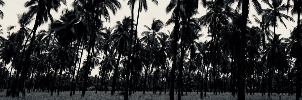 Drusoh's profile banner image