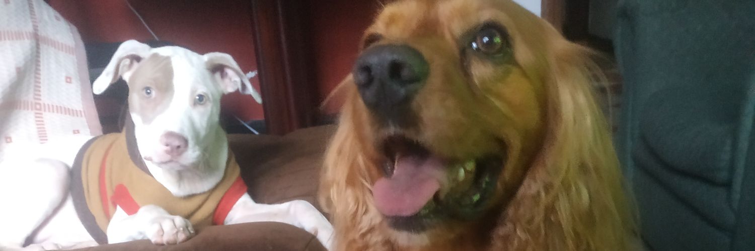 CamiloAndrsRoj's profile banner image