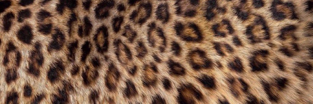 HAWTJP's profile banner image