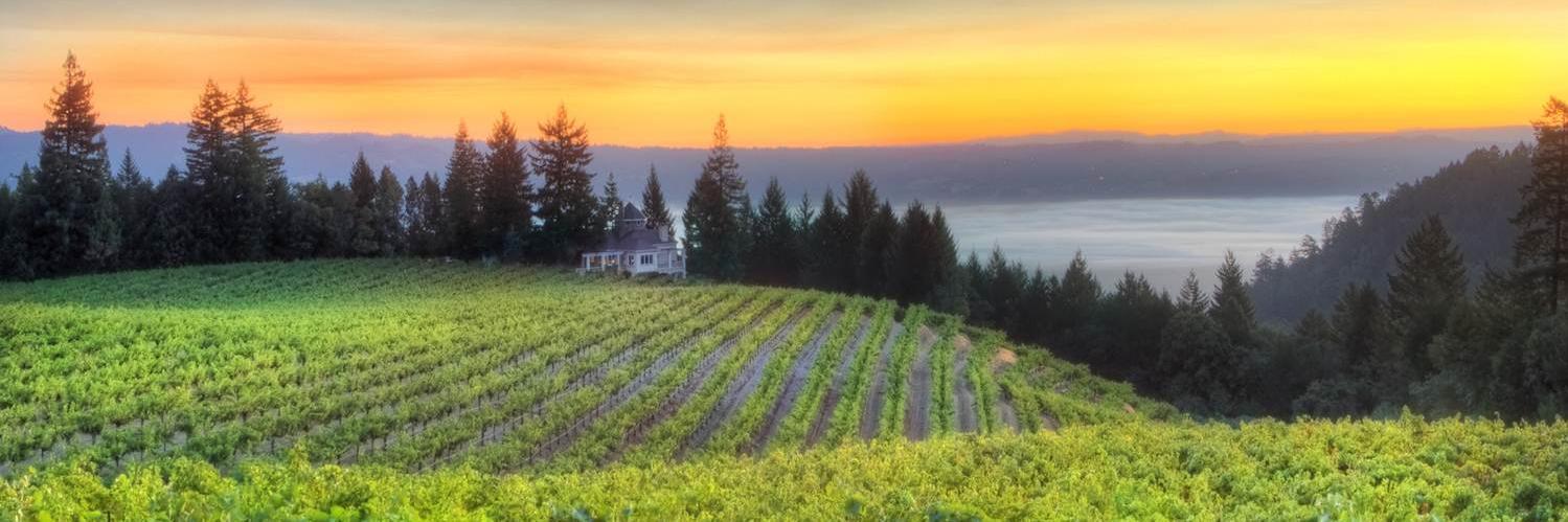 Schweiger Vineyards banner