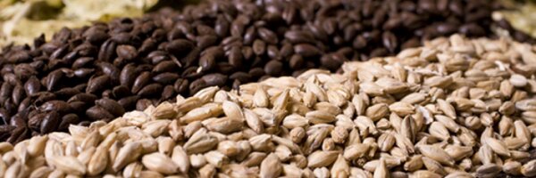 beergrains Profile Banner