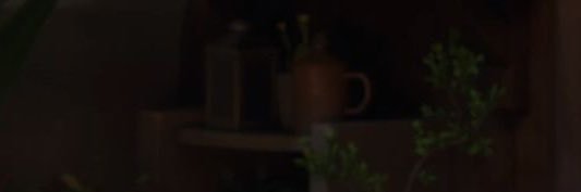 molypeep's profile banner image