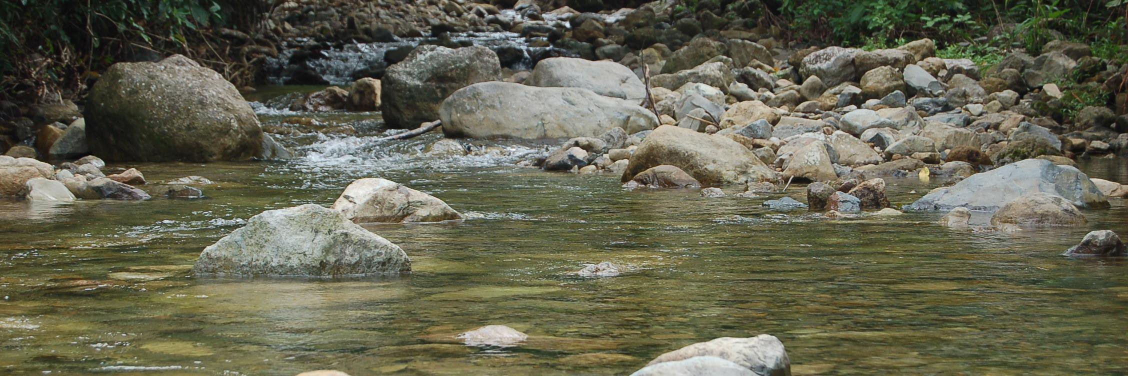 FachruddinMangunjaya banner