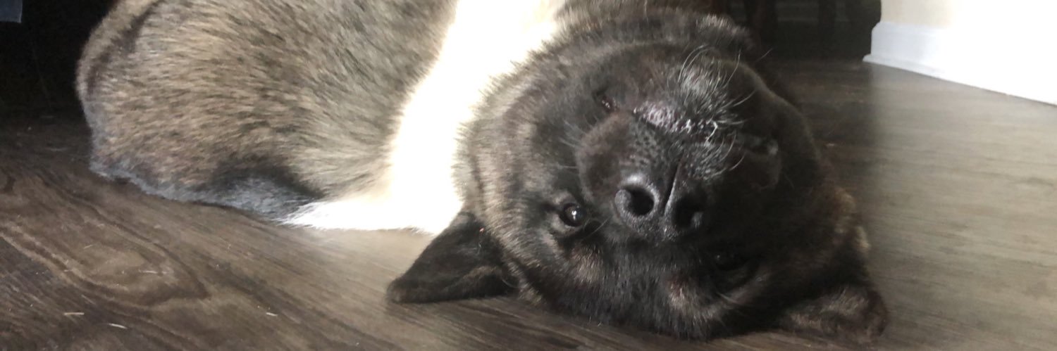 drizzyigottem's profile banner image