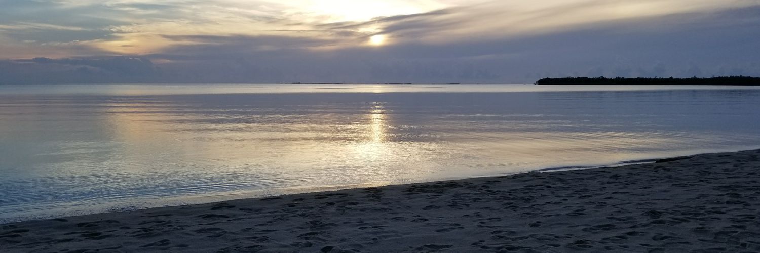 Taisha_Re's profile banner image