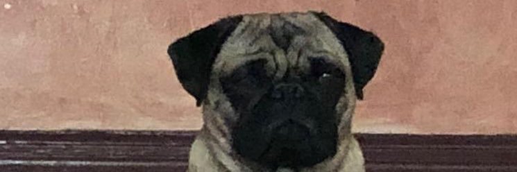 FerMar2408's profile banner image